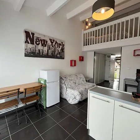 Mezzanine 4 Couchages, Animaux Admis, Parking Sécurisé, Proche Commerces - Fr-1-106-85 Appartamento Saint-Cyprien (Pyrenees-Orientales)