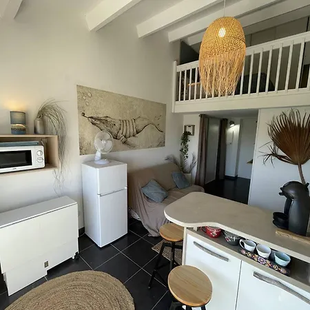 Mezzanine 4 Couchages, Animaux Admis, Parking Securise, Proche Commerces - Fr-1-106-85 Saint-Cyprien (Pyrenees-Orientales)
