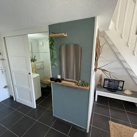 Mezzanine 4 Couchages, Animaux Admis, Parking Securise, Proche Commerces - Fr-1-106-85 * Saint-Cyprien (Pyrenees-Orientales)